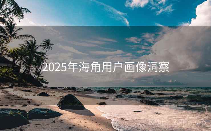 2025年海角用户画像洞察