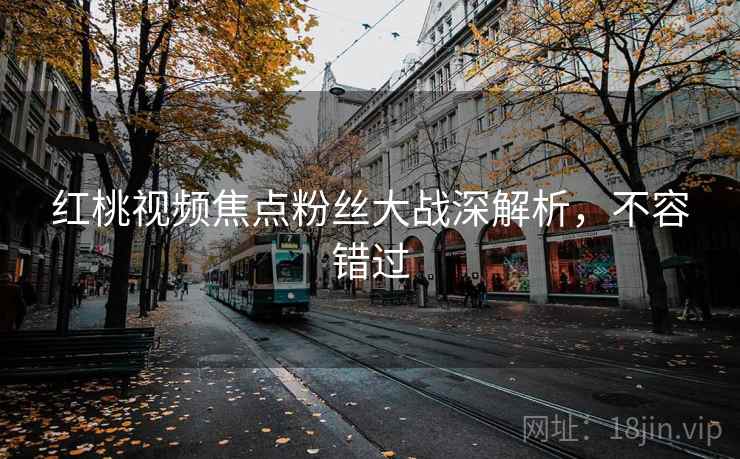 红桃视频焦点粉丝大战深解析,不容错过
